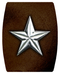 DAREC 430 SL BR Star Silver Brown